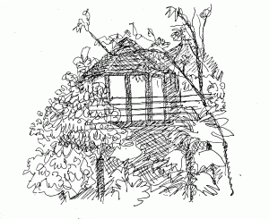 Hand drawn sketch of HappenOak treehouse near cambridge uk