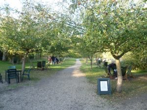 Orchard Tea Garden in Grantchester