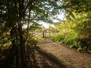 Wandlebury Country Park near Cambridge